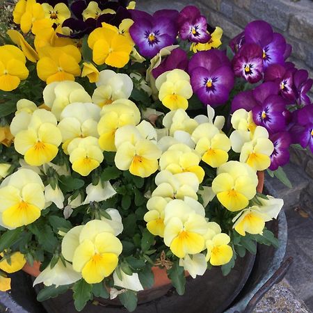 B&B Les Fleurs Gignod Luaran gambar