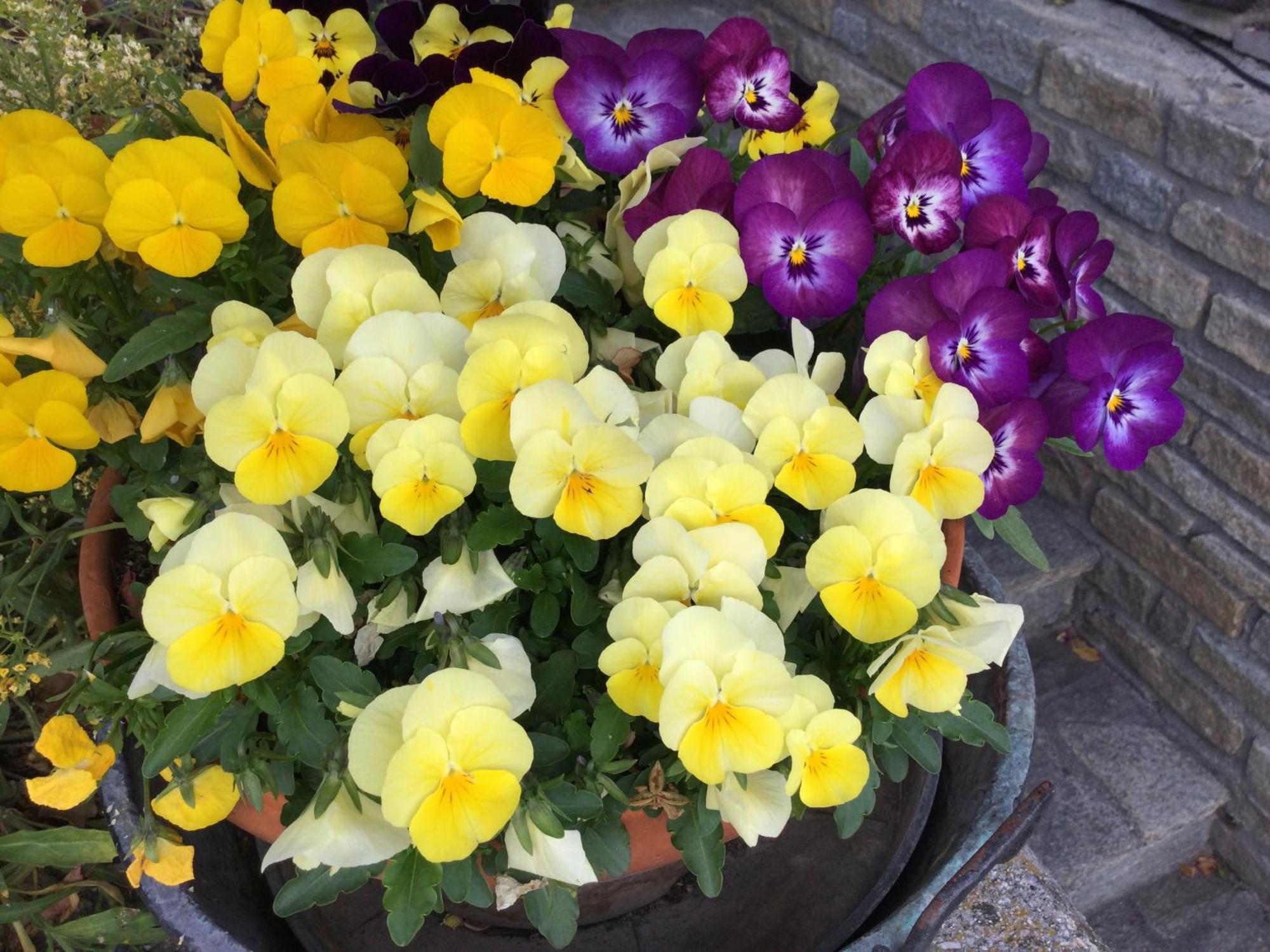 B&B Les Fleurs Gignod Luaran gambar