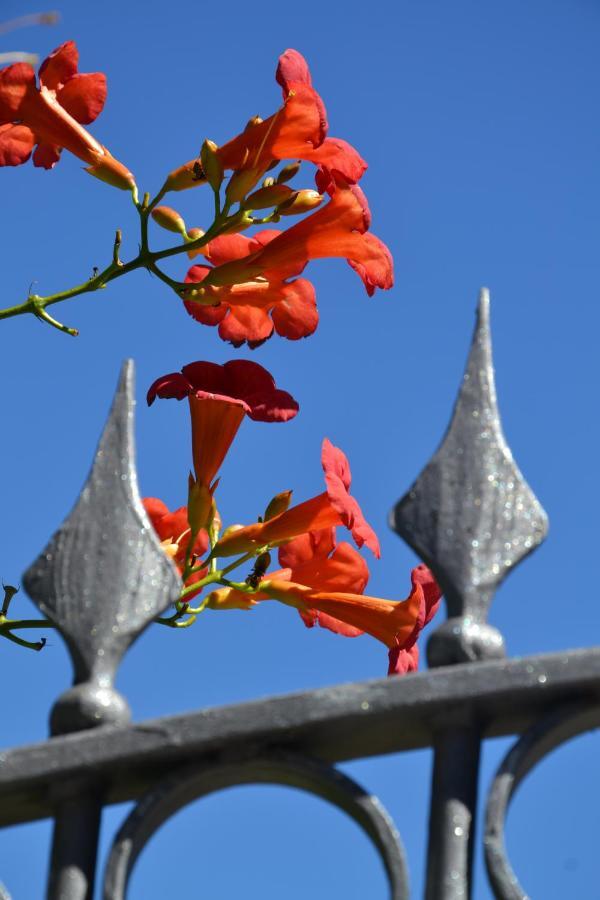 B&B Les Fleurs Gignod Bilik gambar